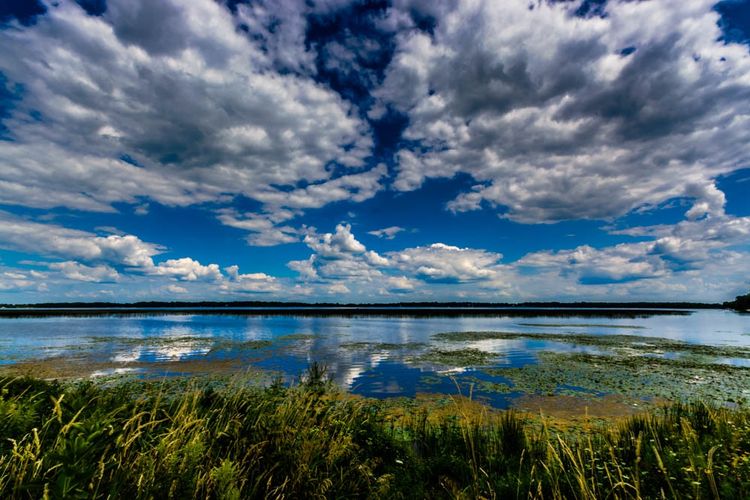 Cambridge, WI Homes for Sale and Realtors